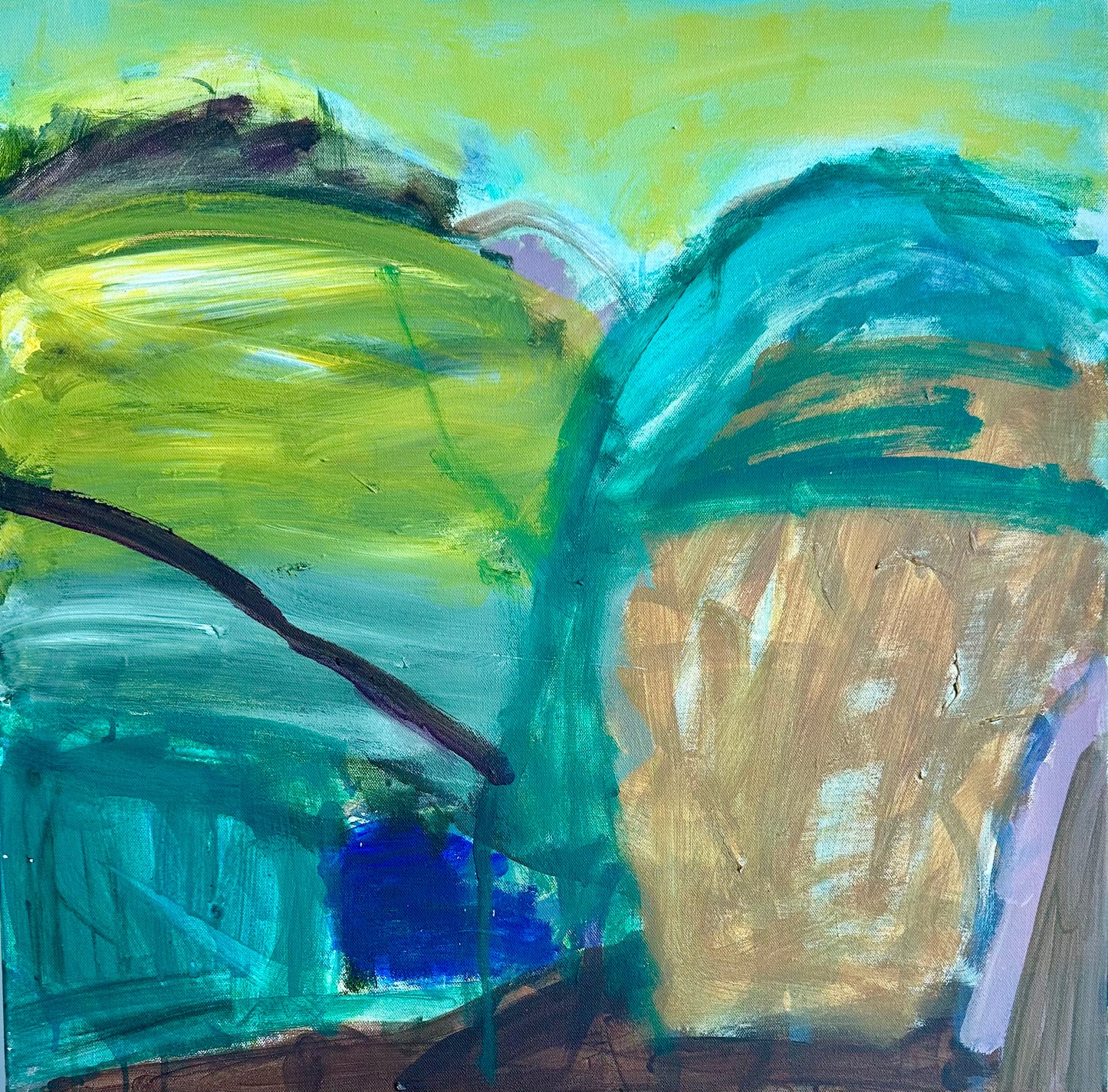Citrus Hills III